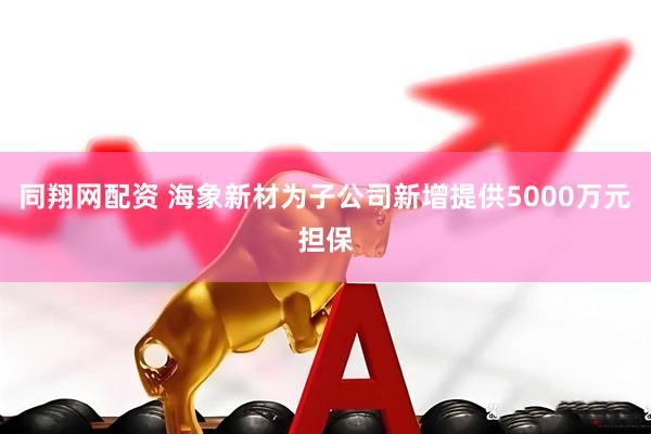 同翔网配资 海象新材为子公司新增提供5000万元担保